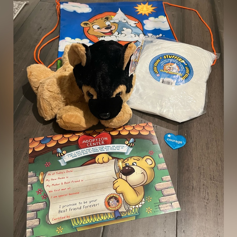 Gift Idea 🎁 DIY - Build Your Own Bear - No Sewing Required!